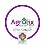 WhatsApp Image 2025-07-28 at 08.36.36_ef6de8b8