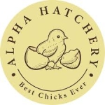 WhatsApp Image 2025-07-28 at 08.36.37_ffcc5cbb